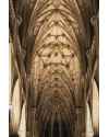 Картина Kathedrale Dialma Brown DB006186