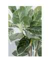 Декор искусственный Calathea 140cm