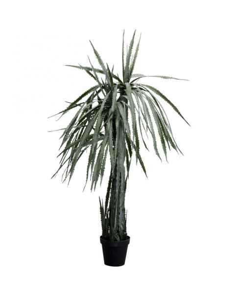 Декор искусственный Dragon Tree 155cm