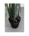 Декор искусственный Dragon Tree 155cm