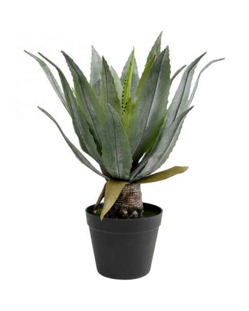 Декор искусственный Agave 40cm