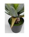 Декор искусственный Agave 40cm