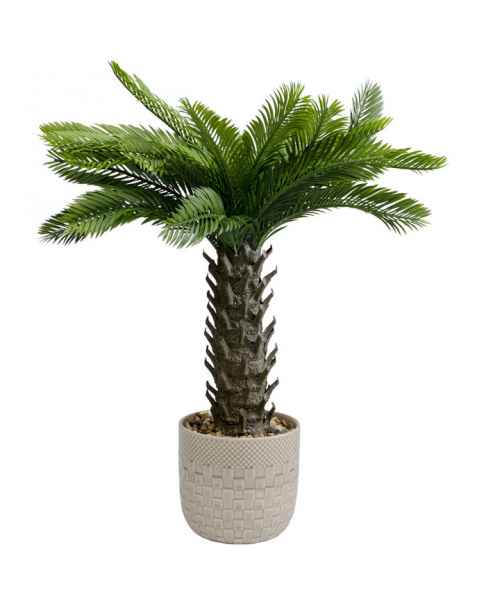 Декор искусственный Cycas 70cm