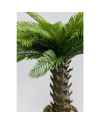 Декор искусственный Cycas 70cm