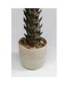 Декор искусственный Cycas 70cm