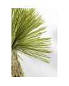 Декор искусственный Yucca 180cm