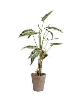 Декор искусственный Alocasia 80cm