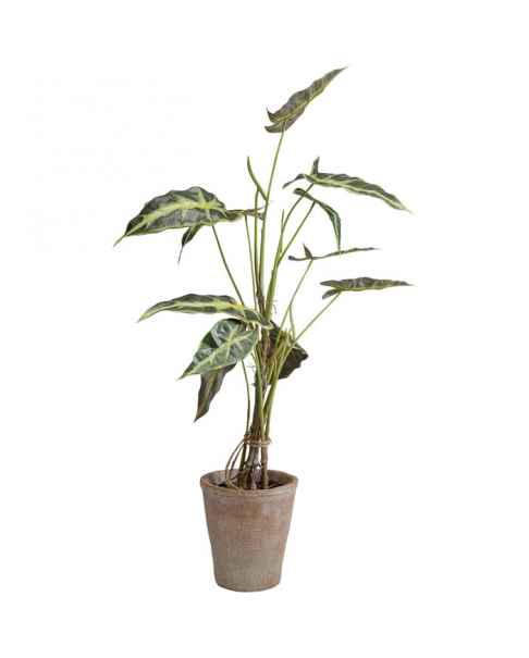 Декор искусственный Alocasia 80cm