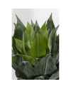 Декор искусственный Agave 120cm