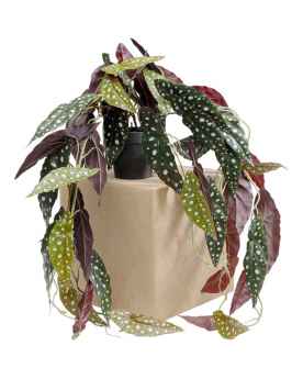 Декор искусственный Begonia 45cm