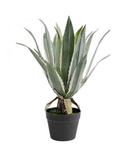Декор искусственный Agave 50cm