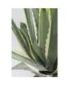 Декор искусственный Agave 50cm