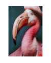 Картина на стекле Mister Flamingo 120x160cm