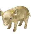 Копилка Baby Pig 38cm