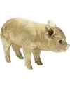 Копилка Baby Pig 38cm