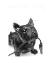 Настольная лампа Toto Black 35cm