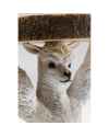 Приставной столик Animal Lama Ø32cm