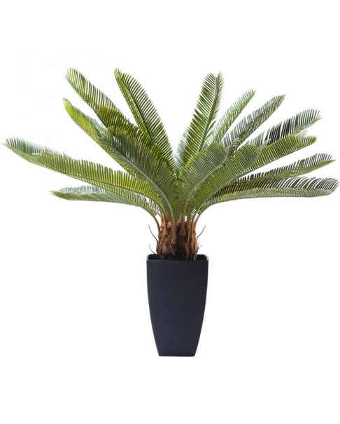 Декор искусственный Cycas Tree 78cm