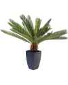 Декор искусственный Cycas Tree 78cm