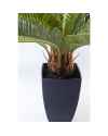 Декор искусственный Cycas Tree 78cm