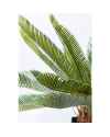 Декор искусственный Cycas Tree 78cm
