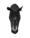Настенный декор Rhino Head Antique Black 22x43cm