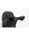 Настенный декор Rhino Head Antique Black 22x43cm