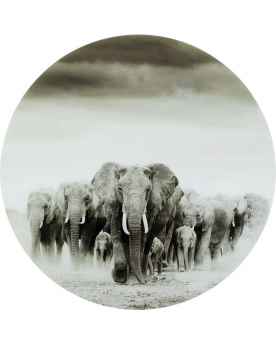 Картина на стекле Elephant Walk Ø120cm