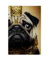 Картина на стекле Prince Pug 40x60cm