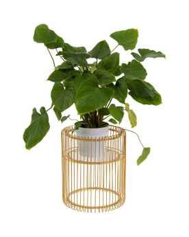 Подставка для цветов Wire Gold 44cm