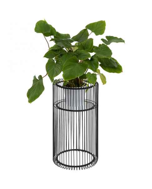 Подставка для цветов Wire Black 70cm