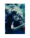 Картина на стекле Swimming Elephant 80x100cm
