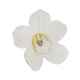 Настенный декор Orchid White 44cm