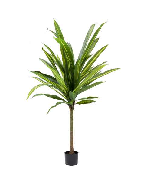 Декор искусственный Dracaena Fragrans 180