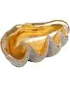 Чаша декоративная  Noble Shell 41x27cm