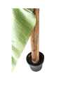 Декор искусственный Banana Tree 190cm
