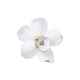 Настенный декор Orchid White 25cm