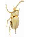 Настенный декор Beetle Gold 41 см Настенный декор Beetle Gold 41 см