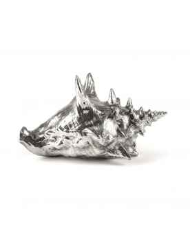 Декор Wundekammer Shell