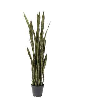 Декор искусственный Sansewieria 155cm