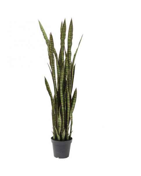 Декор искусственный Sansewieria 155cm