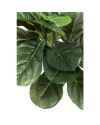 Декор искусственный Fiddle Leaf 120cm