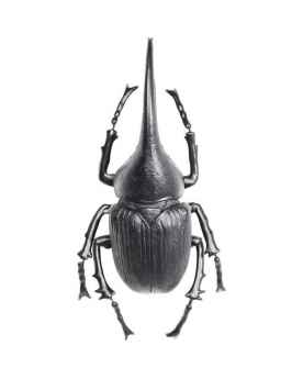 Настенный декор Herkules Beetle Matt Black