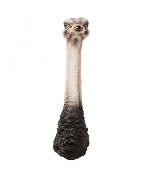 Настенный декор Ostrich