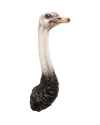 Настенный декор Ostrich