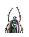 Настенный декор Plant Beetle Rainbow