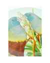 Декоративная тарелка Parrot Couple Ø35cm