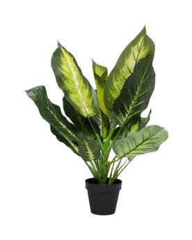 Декор искусственный Dieffenbachia 50cm