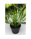 Декор искусственный Dieffenbachia 50cm