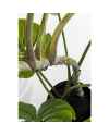 Декор искусственный Monstera 110cm